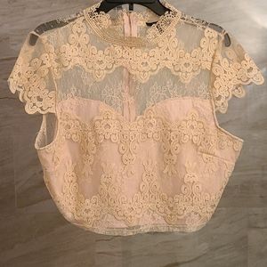 Short Crop Top XL